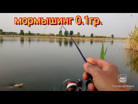 Видео: Мормышинг.Таскаю карасей,а вокруг поплавочники.