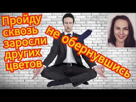 Видео: Самоуверенный мошенник и терпеливая Василиса