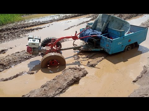 Видео: Купил МТЗ мотоблок 1991г. Танки грязи не боятся.