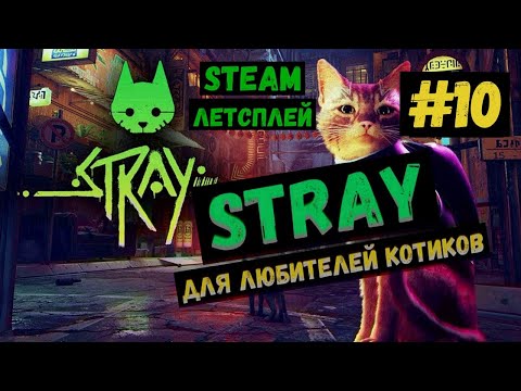 Видео: ШОК! Друг оказался врагом / Steam ЛЕТСПЛЕЙ / GAMEPLAY / STRAY / Игра для любителей котиков / #10