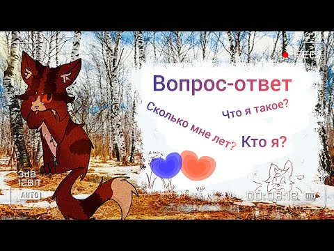 Видео: Сколько мне лет?? | вопрос-ответ с Мышелапом | аск