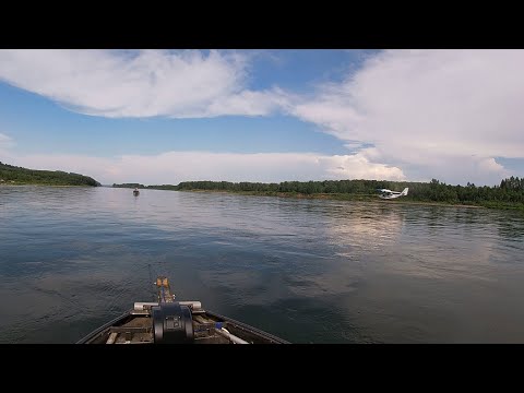 Видео: Хариус на покатной поплавок| Самолет на реке| река Томь