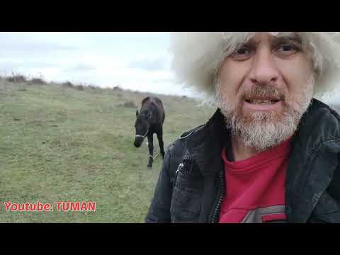 Видео: Лахьиб