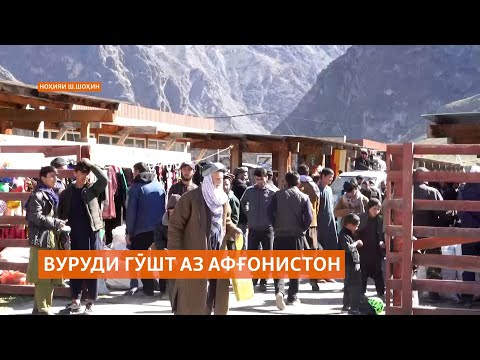 Видео: Оё воридот аз Афғонистон нархи гӯшт дар Тоҷикистонро поин хоҳад бурд?
