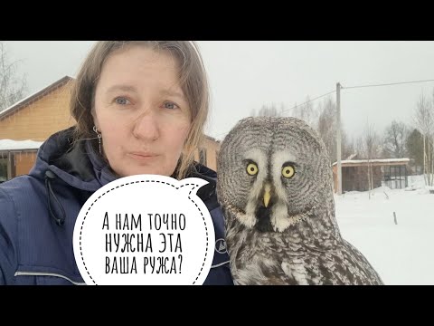 Видео: Сова Кофи переехал из дома в вольер на улицу. Теперь у филина Ёлки новый сосед - бородатая неясыть