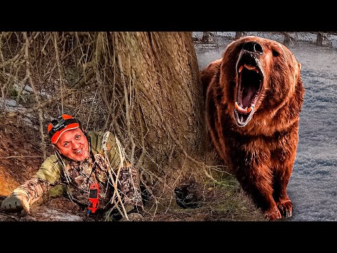 Видео: ЗАЛЕЗ в МЕДВЕЖЬЮ БЕРЛОГУ. Весенняя охота с лайками работают лося