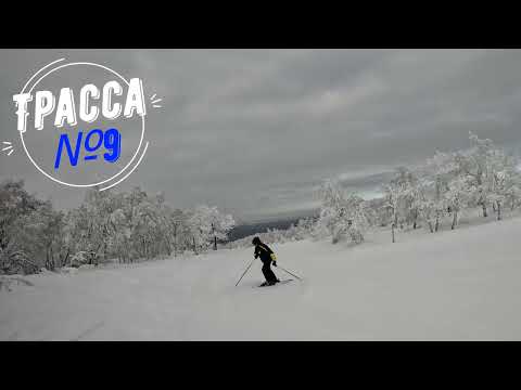 Видео: Аджигардак 02. 02. 2024г. (Отзыв в описание).