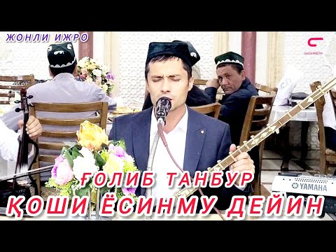 Видео: Қоши ёсинму дейин Ғолиб танбур жонли ижрода Наманган шаҳри