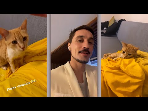 Видео: Дима Билан и его гостья кошка Маруся - "в мире животных" - Турция 07.06.2023 (3)