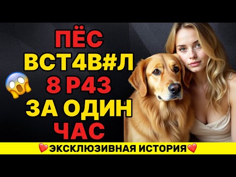 Видео: Моя СОБАКА СПОСОБНА СДЕЛАТЬ то, что мой МУЖ НЕ МОГУ СДЕЛАТЬ