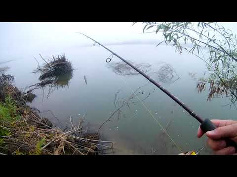Видео: Начало осеннего жора щуки. р. Обь. г. Новосибирск.