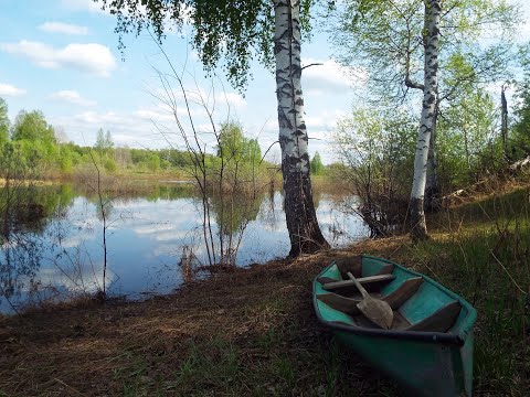 Видео: Самодельная лодка-плоскодонка