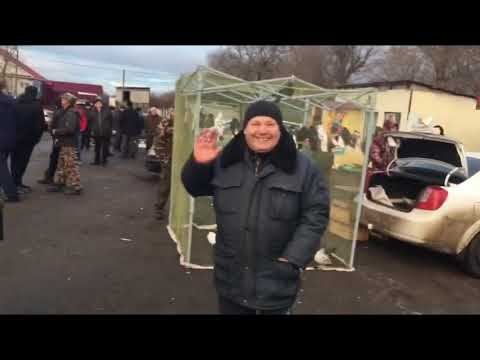 Видео: Ярмарка голубей Село Крестниково 10.11.2024