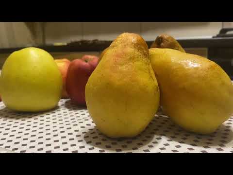 Видео: Груша Яблунівська зимовий, дуже смачний сорт на підщепі ВА 29.