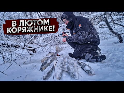 Видео: Глухой КОРЯЖНИК полон КРУПНОГО судака, леща, сазана / ЭКСТРЕМАЛЬНАЯ рыбалка в - 30 на ОБИ