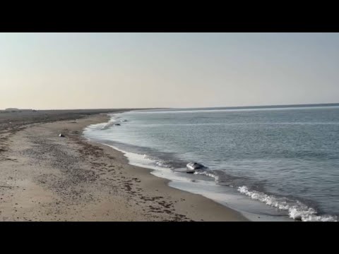 Видео: Уровень Каспийского моря опустился ниже исторического минимума