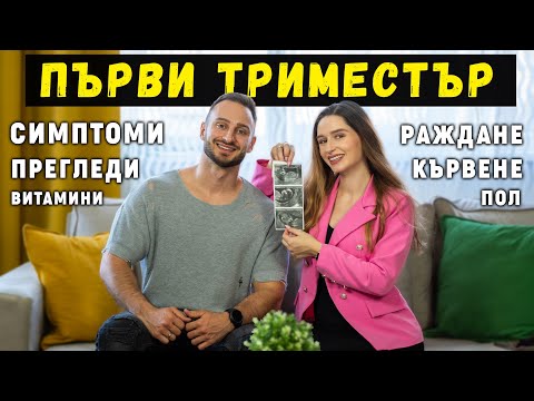 Видео: ПЪРВИ 3 МЕСЕЦА ОТ БРЕМЕННОСТТА