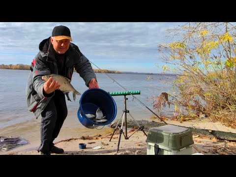 Видео: Очередное новое место с фидером на Днепре, рыбалка в октябре.
