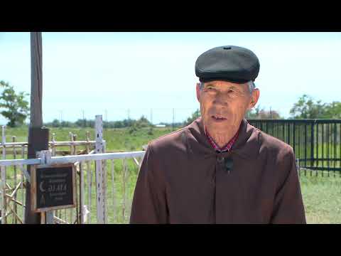 Видео: Сарайшықтағы әулиелер