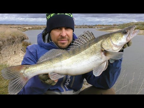 Видео: Джиг на Десні. Судак на Спінінг