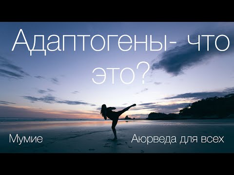 Видео: Адаптогены. Мумие. Аюрведа для начинающих.