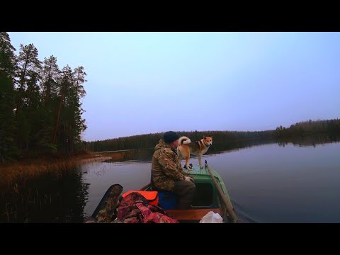 Видео: Живём 10 Дней с Батей в Тайге.Едем Жить в Другую Избу.Открываем Путик.Рябчик с Салом(часть3)