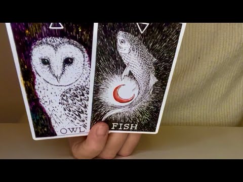 Видео: ТЕЛЕЦ! Ноябрь 2025! Напитайте себя и увидите чудо! 