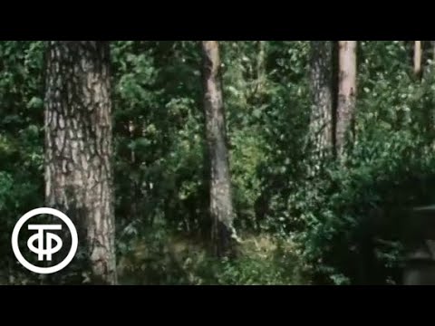 Видео: У нас в Москве (1982)