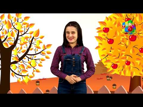 Видео: Полези сеҳрнок - 27.11.2018