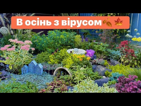 Видео: ПОЧАТОК ОСЕНІ В САДУ,ЯК САД ЖИВ БЕЗ МЕНЕ