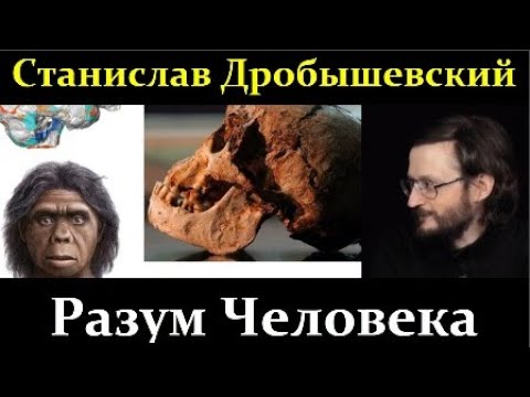 Видео: 🐵 Дробышевский С. Почему Homo Sapiens стал разумным, а другие животные нет? Video ReMastered.