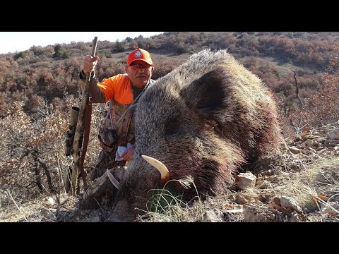 Видео: ИДЕАЛЬНАЯ ОХОТА НА КАБАНА В ТУРЦИИ -PERFECT WILD BOAR HUNTING-