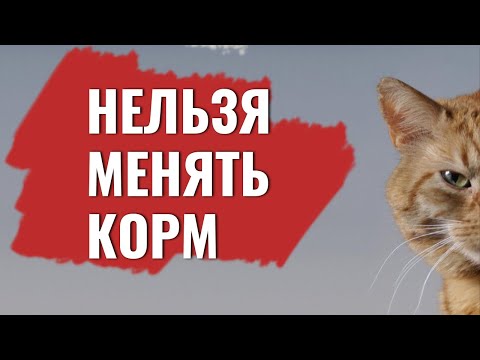 Видео: Когда нельзя переводить кошку на другой корм или натуралку