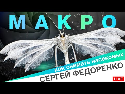 Видео: Макрофотография. От телефона до микроскопа — полный обзор оборудования для макро