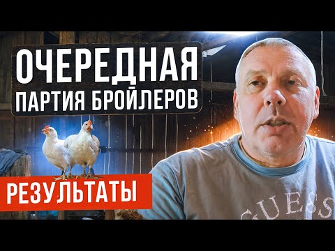 Видео: Очередная партия бройлеров: условия содержание, кормление и результат. "Мое Подворье"
