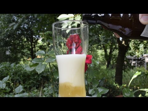 Видео: Пшенично Гречневый Эль.   Buck-Wheat Ale