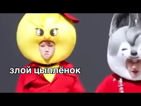 Видео: скз агрессивно танцуют в SKZOO костюмах