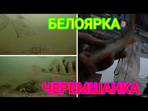 Видео: БЕЛОЯРСКОЕ ВДХР.ЧЕРЕМШАНКА  6-7.04.23