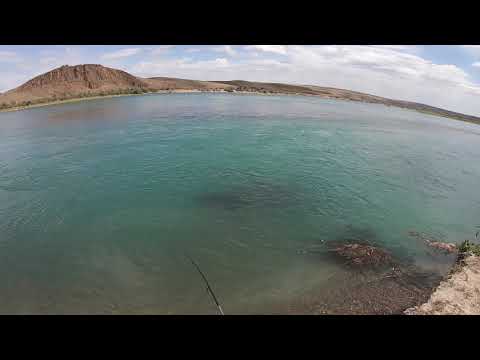 Видео: РЫБАЛКА НА ИЛИ , ПРОВЕРЕННЫЕ МЕСТА ПОДВЕЛИ ? ИЛИ ЗАТИШЬЕ ПЕРЕД БУРЕЙ ?