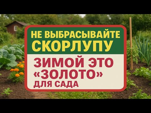 Видео: Не выбрасывайте скорлупу яиц: простой секрет, от которого сад начнёт бурно расти!
