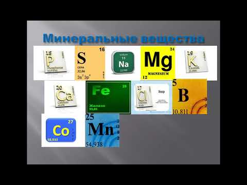 Видео: Петрова Ю.Н. Морфология и физиология микроорганизмов