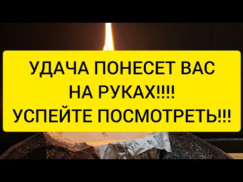 Видео: 🪐Удача понесет вас на руках, успех будет сопутствовать, жизнь станет гладкой