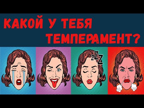 Видео: Темперамент. Меланхолик, флегматик, сангвиник, холерик. Типы темперамента.