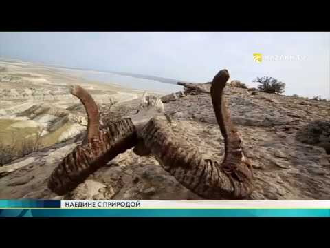 Видео: Экспедиция в Баянаул