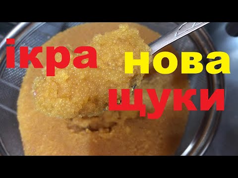 Видео: ІКРА ЩУКИ  МІКСЕРОМ. Це ДУЖЕ ШВИДКО.