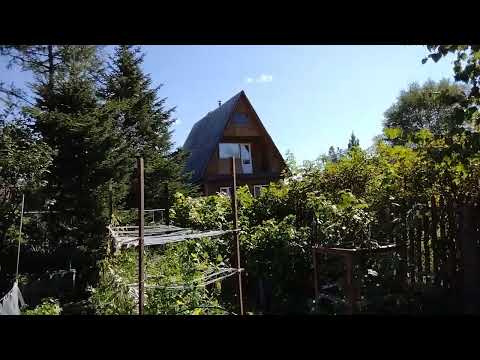 Видео: Птицы поют (Acapella-snippet) 