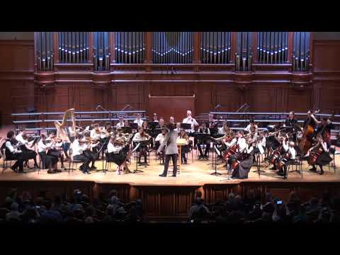 Видео: Симфонический оркестр МГДМШ им. С.С. Прокофьева, г. Москва