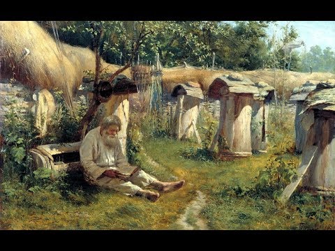 Видео: пчелосемьи после месяца холодов.  результат подогрева