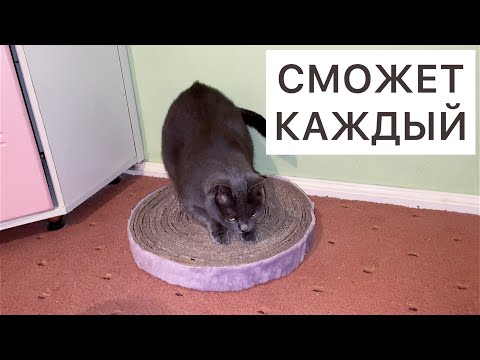 Видео: КОГТЕТОЧКА ИЗ КАРТОНА / Как сделать когтеточку? Напольная когтеточка. Когтедралка для кота