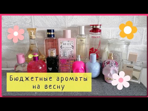 Видео: БЮДЖЕТНЫЕ ПАРФЮМЫ на ВЕСНУ 🌸1 часть